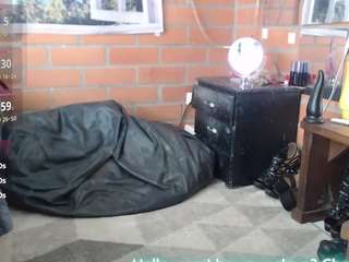 foxy-pet Live Webcam on CamSoda