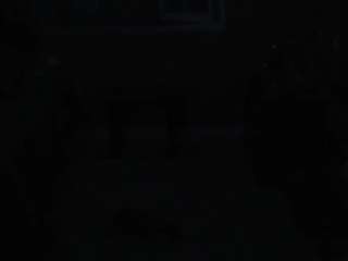 foxy-pet Toy live webcam