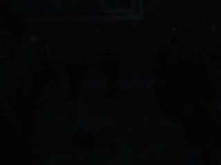 foxy-pet Toy live webcam