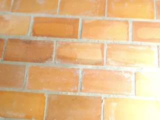 k-stormy live webcam show