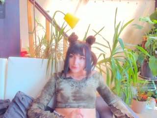 1munique webcam