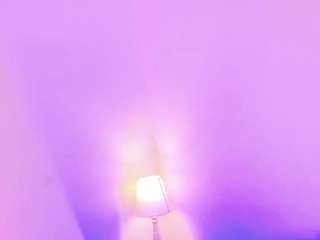 sofievanss webcam