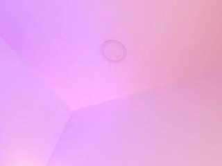 sofievanss Live Webcam on CamSoda
