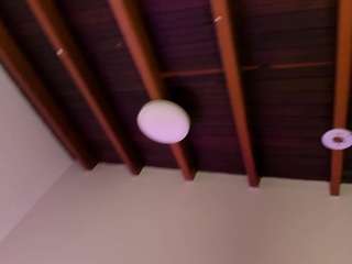 sofievanss webcam