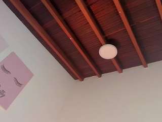 sofievanss webcam