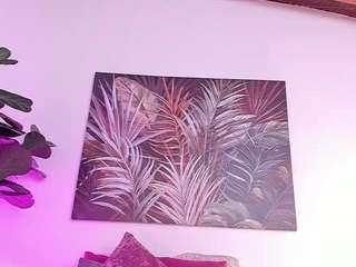 Live webcam model sofievanss on Soda Cams