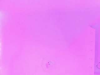 sofievanss webcam