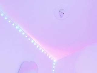sofievanss