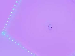 sofievanss Sex Cam Show