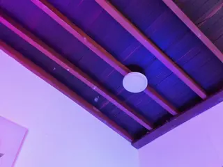 Sofievanss's Live Sex Cam Show