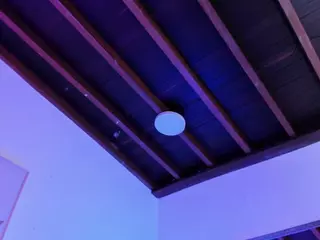 Sofievanss's Live Sex Cam Show
