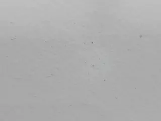 JennaMoon's Live Sex Cam Show