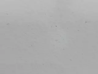 JennaMoon's Live Sex Cam Show