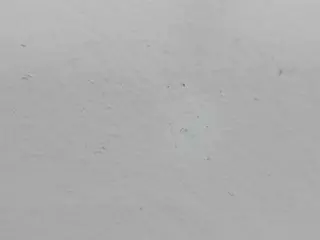 JennaMoon's Live Sex Cam Show