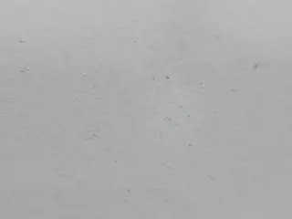 JennaMoon's Live Sex Cam Show