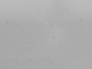 JennaMoon's Live Sex Cam Show