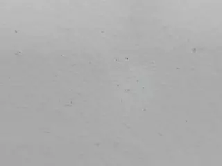 JennaMoon's Live Sex Cam Show