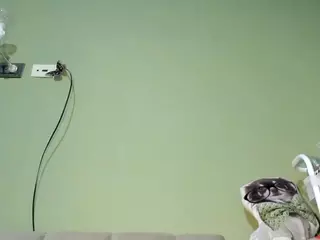 MsPurrfectLove's Live Sex Cam Show