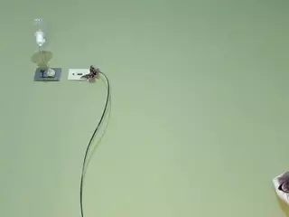 MsPurrfectLove's Live Sex Cam Show