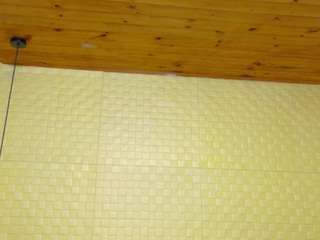 sweet-dani18 webcam model