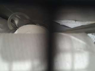 rentedbimanymen Live Webcam on CamSoda