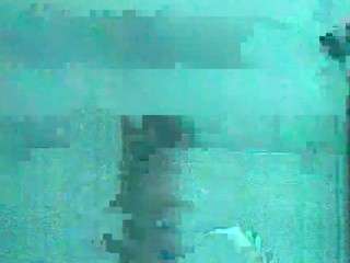 hornylady690 Porn