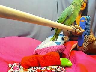  kataleya-collins chat room