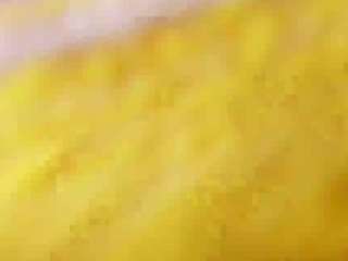 Jessy-Evanss