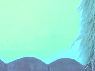 kittynicolle