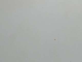 kyliebenson Live Webcam on CamSoda