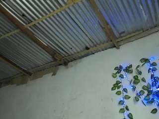 shanon-hughes webcam