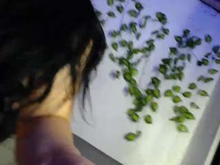 Live Sex Chat with Shanon_hughes (@shanon-hughes)