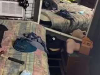 alanahsinns
