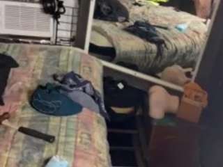 Alanahsinns