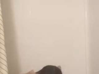 alanahsinns