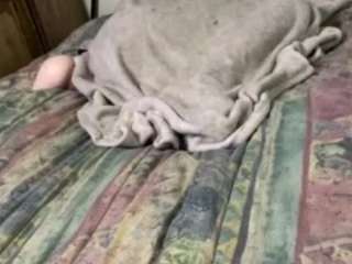 alanahsinns