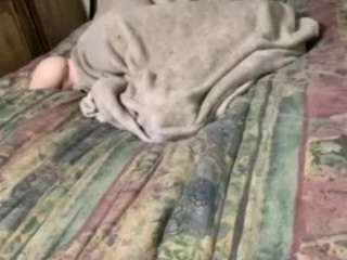alanahsinns