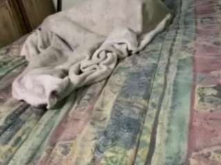alanahsinns