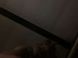 alanahsinns
