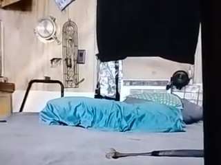 alanahsinns Sex Cam Show