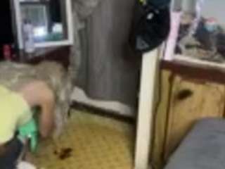 alanahsinns Sex Cam Show