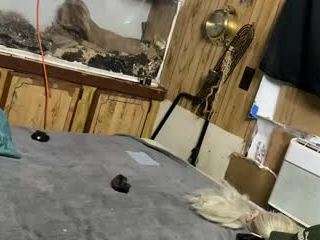 alanahsinns Sex Cam Show