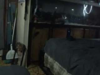 alanahsinns Sex Cam Show