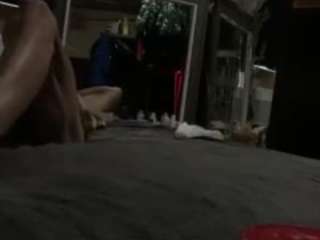 Alanahsinns live webcam show