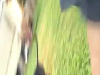 alanahsinns