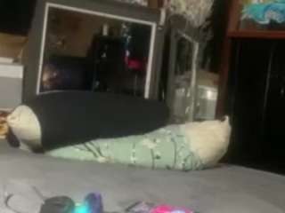 Alanahsinns
