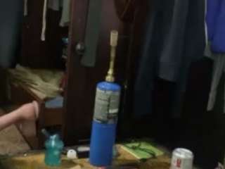 alanahsinns