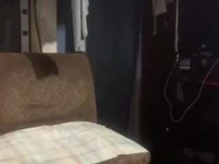 alanahsinns