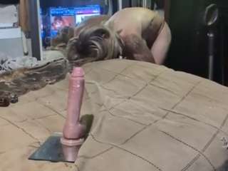 alanahsinns