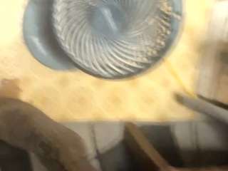 Alanahsinns live cam preview